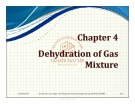 Lecture Oil and gas field processing - Chapter 4: Dehydration of gas mixture