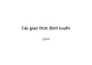 Bài giảng Các giao thức định tuyến: Giao thức định tuyến OSPF