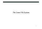Lecture Computer literacy: The Linux file system