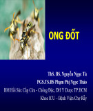 Bài giảng Ong đốt - ThS. BS. Nguyễn Ngọc Tú