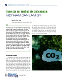 Tham gia thị trường tín chỉ carbon: Việt Nam cần làm gì