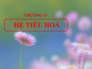 Bài giảng Sinh học đại cương - Chương 17: Hệ tiêu hoá