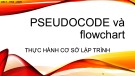 Bài giảng Thực hành cơ sở lập trình: Pseudocode và flowchart