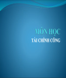 Bài giảng Tài chính công: Chương 2 - Lê Trường Hải