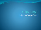 Bài giảng Tài chính công: Chương 1 - Lê Trường Hải