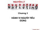 Bài giảng Nguyên lý marketing: Chương 3
