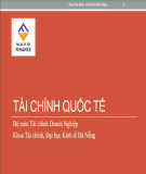 Bài giảng Tài chính quốc tế: Chương 1 - Trường ĐH Kinh tế Đà Nẵng