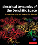 Ebook Electrical dynamics of the dendritic space: Part 2