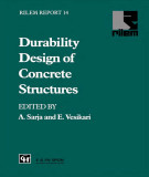 Ebook Durability design of concrete structures: Report of RILEM technical committee 130-CSL