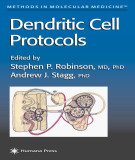 Ebook Dendritic cell protocols
