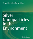 Ebook Silver nanoparticles in the environment