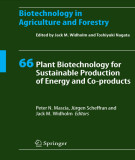 Ebook Plant biotechnology for sustainable production of energy and co-products