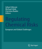 Ebook Regulating chemical risks: European and global challenges