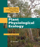 Ebook Plant physiological ecology (Second edition)