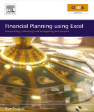 Ebook Financial planning using excel: Forcasting planning and budgeting techniques