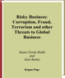 Ebook Risky business: Corruption, fraud, terrorism and other threats to global business