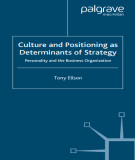 Ebook Culture and positioning as determinants of strategy personality and the business organization