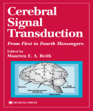 Ebook Cerebral signal transduction: From first to fourth messengers