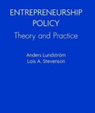 Ebook Entrepreneurship policy: Theory and practice