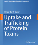 Ebook Uptake and trafficking of protein toxins