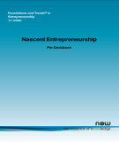 Ebook Nascent entrepreneurship: Empirical studies and developments