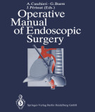 Ebook Operative manual of endoscopic surgery