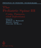 Ebook The pediatric spine III: Cysts, tumors, and infections