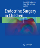 Ebook Endocrine surgery in children