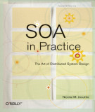 Ebook SOA in practice: The art of distributed system design