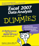 Ebook Microsoft Office Excel 2007 data analysis for dummies
