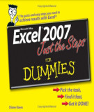 Ebook Excel 2007 just the steps for dummies