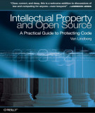 Ebook Intellectual property and open source (2008)