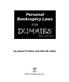 Ebook Personal bankruptcy laws for Dummies (2nd edition)