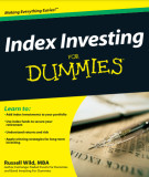 Ebook Index investing for dummies