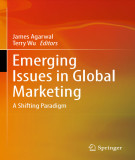Ebook Emerging issues in global marketing: A shifting paradigm