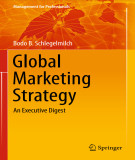 Ebook Global marketing strategy: An executive digest