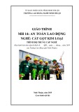 Giáo trình An toàn lao động (Ngành: Cắt gọt kim loại - Trung cấp) - Trường Cao đẳng nghề Ninh Thuận