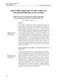 Sinh trưởng, năng suất và chất lượng hạt của một số dòng Mắc ca tại Lai Châu