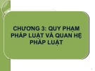 Bài giảng Lý luận nhà nước và pháp luật: Chương 3