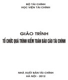 Giáo trình Tổ chức quá trình kiểm toán báo cáo tài chính: Phần 1