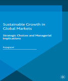 Ebook Sustainable growth in global markets: Strategic choices and managerial implications – Part 2