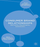 Ebook Consumer brand relationships: Meaning, measuring, managing – Part 1