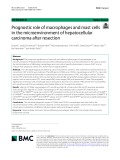 Prognostic role of macrophages and mast cells in the microenvironment of hepatocellular carcinoma after resection