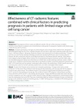 Effectiveness of CT radiomic features combined with clinical factors in predicting prognosis in patients with limited-stage small cell lung cancer