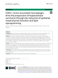 CD63+tumor-associated macrophages drive the progression of hepatocellular carcinoma through the induction of epithelialmesenchymal transition and lipid reprogramming