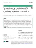 The selective sponging of miRNAs by OIP5- AS1 regulates metabolic reprogramming of pyruvate in adenoma-carcinoma transition of human colorectal cancer