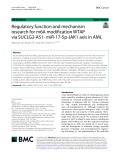 Regulatory function and mechanism research for m6A modifcation WTAP via SUCLG2-AS1- miR-17-5p-JAK1 axis in AML