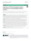 Expression of STAT3 and hypoxia markers in long-term surviving malignant glioma patients