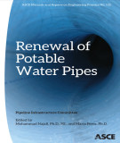 Ebook Renewal of potable water pipes: Pipeline infrastructure committee