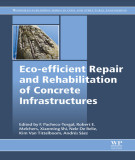 Ebook Eco-efficient repair and rehabilitation of concrete infrastructures: Part 1